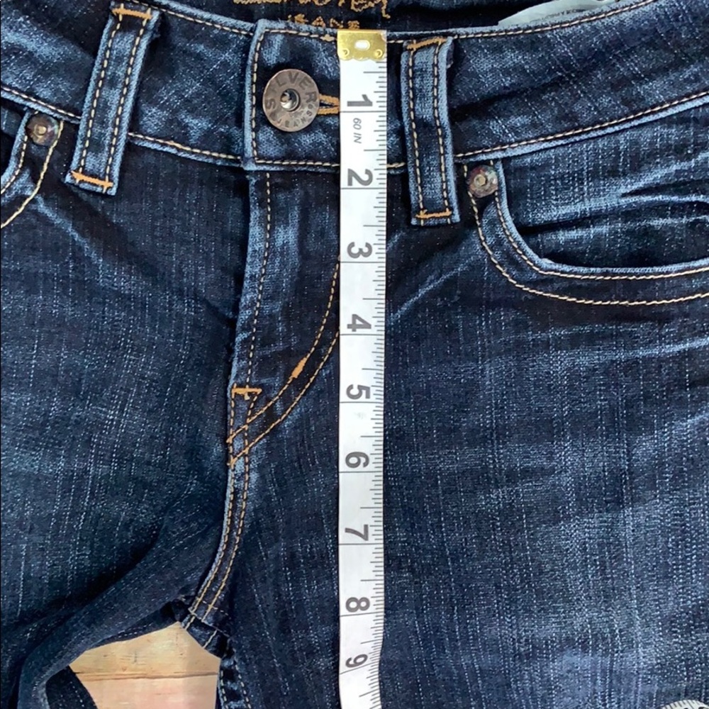 Silver Suki Capris - image 3